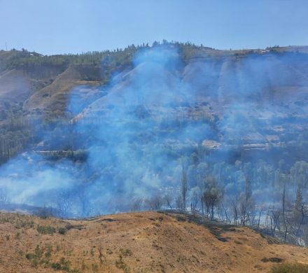 مهار آتش‌سوزی در مناطق چشمکان و فشندک طالقان