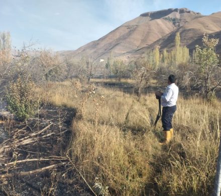 شعله‌های آتش در باغات وشته با حضور سریع نیروهای آتش‌نشانی طالقان فرو نشست