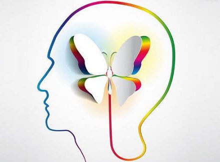 مدیر شبکه بهداشت طالقان: روانشناسان پشتوانه آرامش جامعه هستند