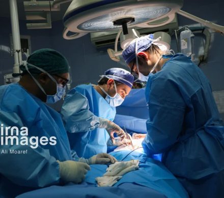  نجات جان حدود ۱۰۰ بیمار با اهدای عضو در البرز